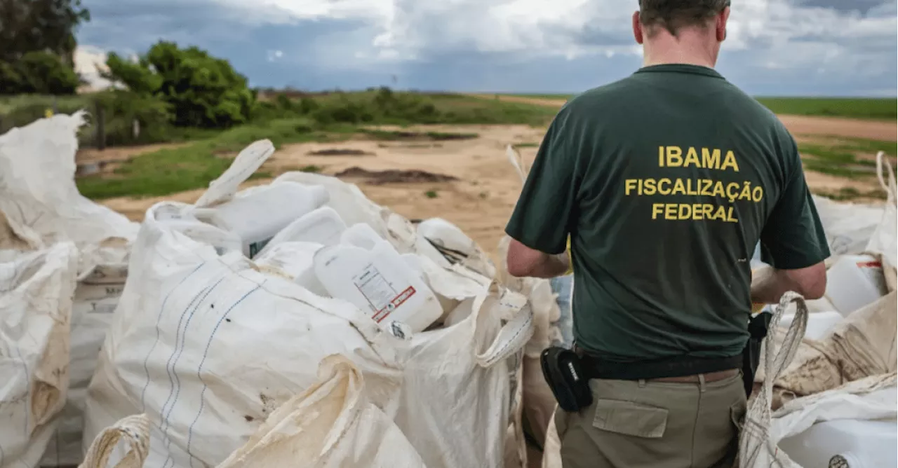 Em 3 meses de paralisação no Ibama, multas na Amazônia caem 81%