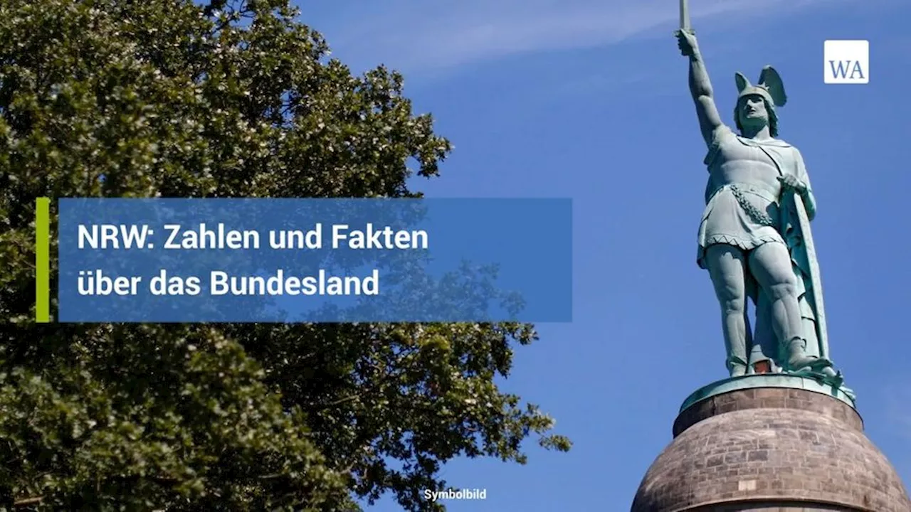 Wölfe auf Autobahn totgefahren? Jetzt laufen die Untersuchungen