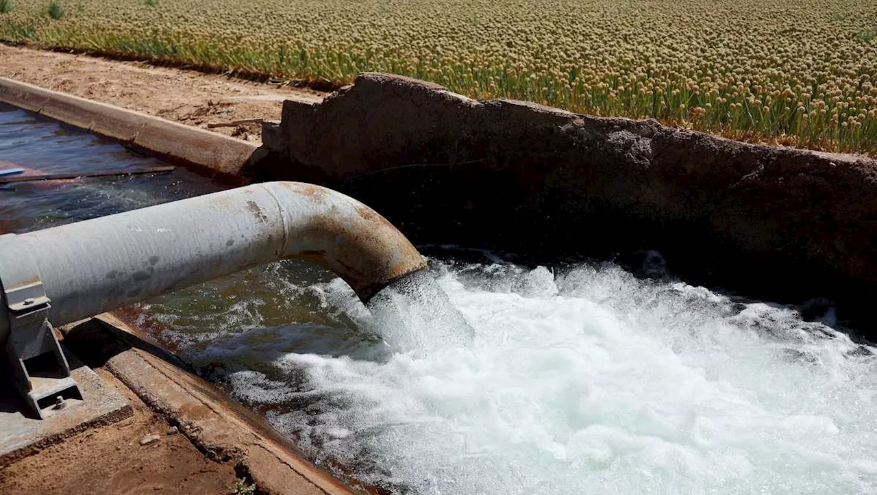 Toxic ‘forever’ chemicals found in excessive levels in global groundwater, study says