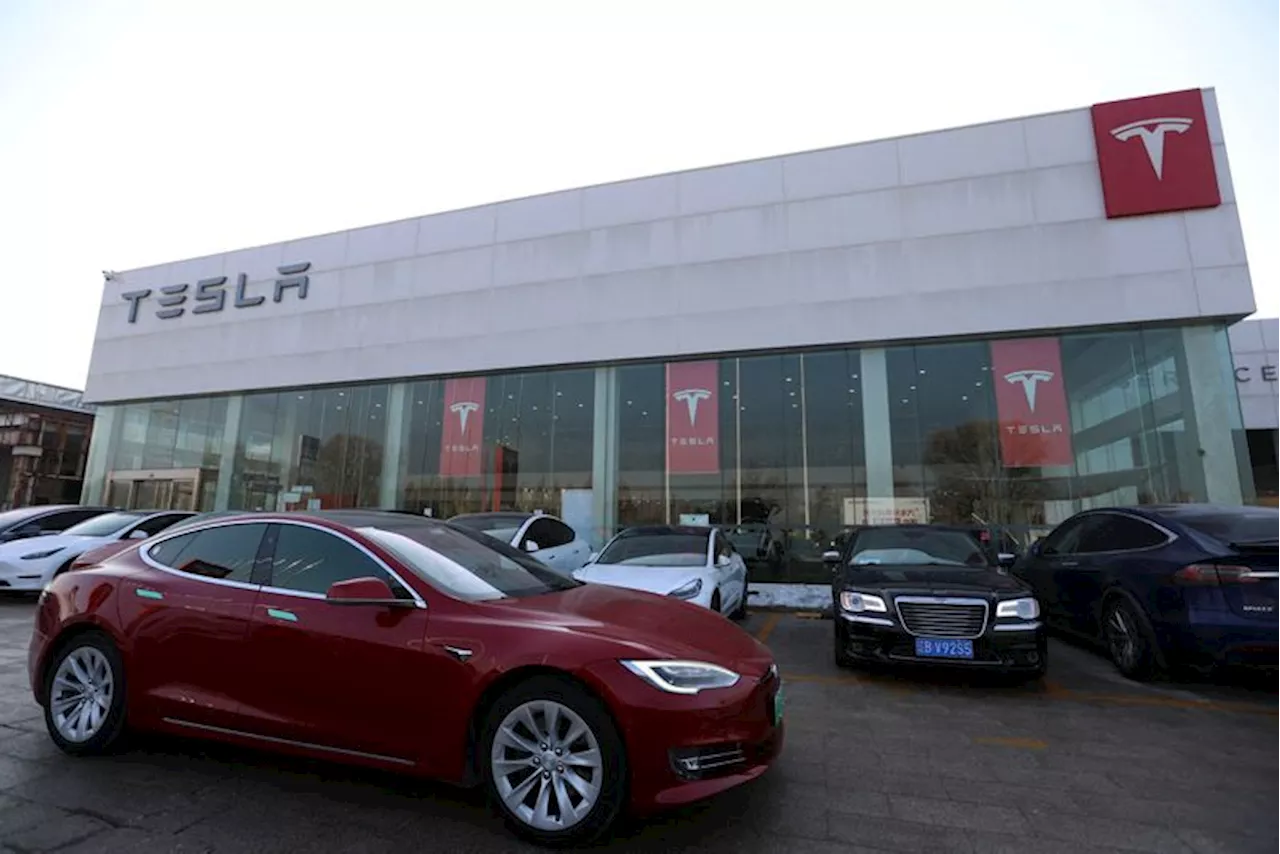 Former Tesla CEO says it is a 'shame' company is cancelling low-cost car plans