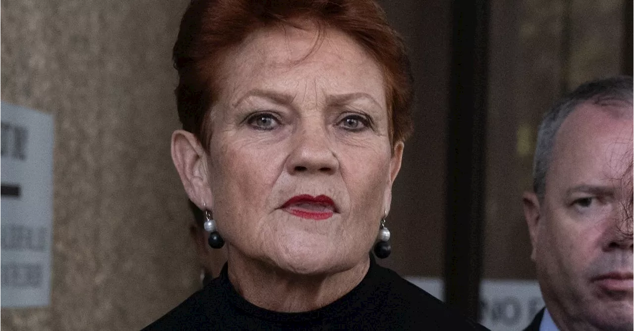 Pauline Hanson's final defence in racial slur lawsuit