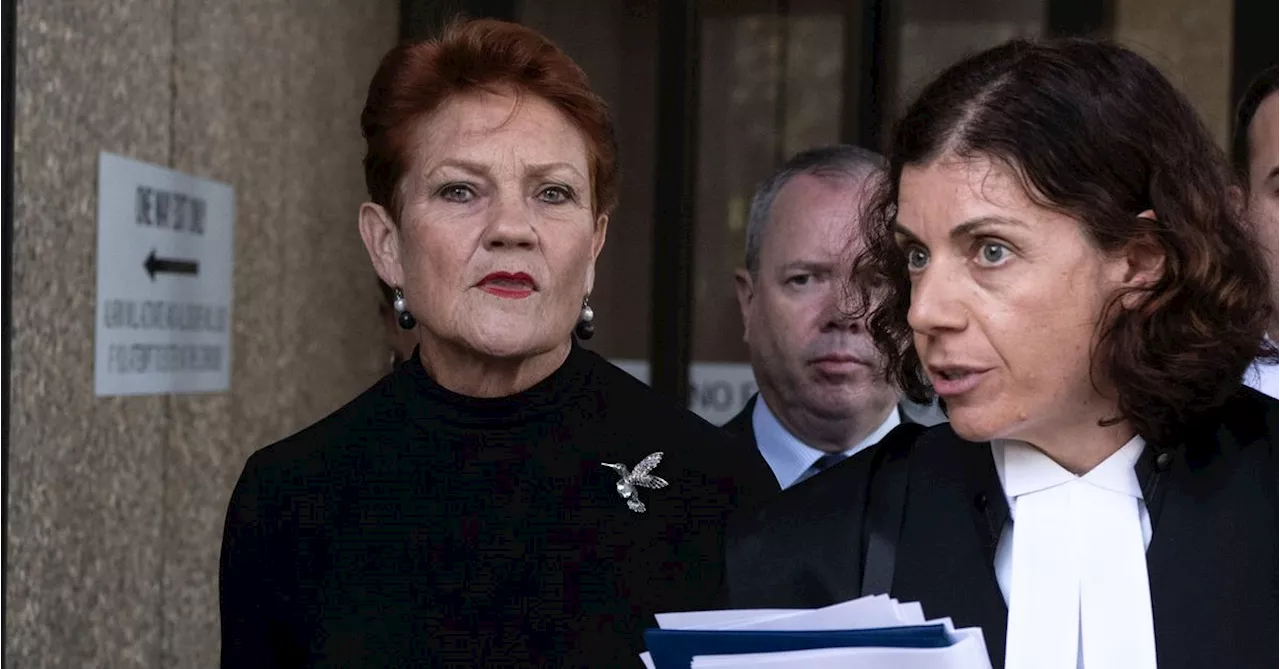 Pauline Hanson's 'grenade' tweet blew up migrant ambitions, court told