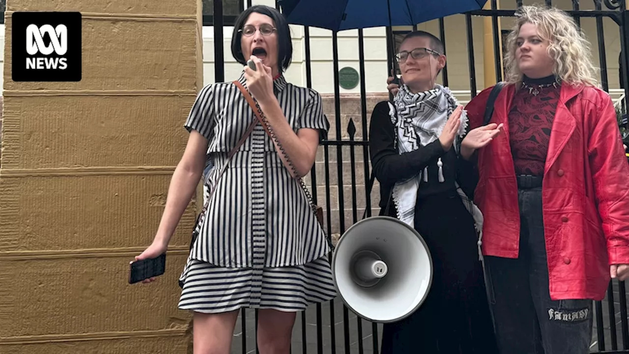 Protester interrupts Archbishop of Sydney during parliamentary inquiry into transgender legislation