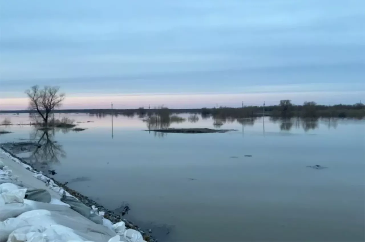 Уровень воды в Ишиме у Викулово поднялся на 84 сантиметра за сутки