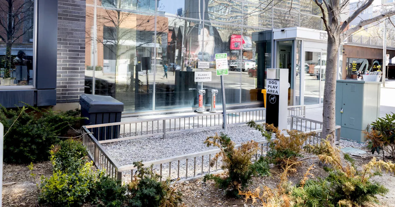 This might just be the saddest 'dog play area' in all of Toronto