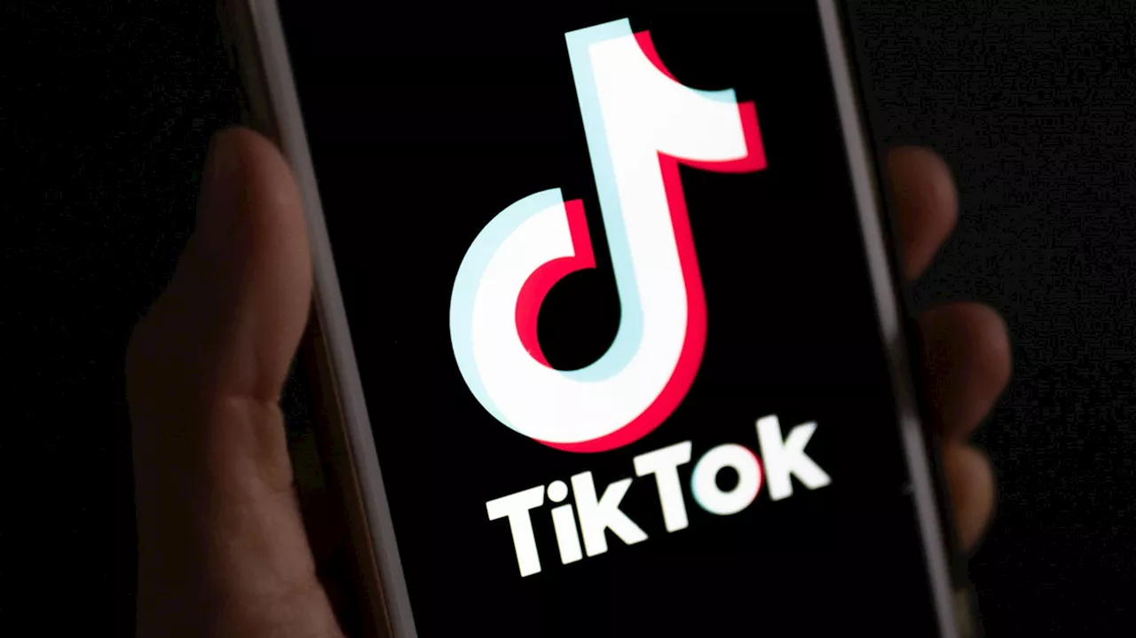 Deshalb sind immer mehr Politiker auf TikTok