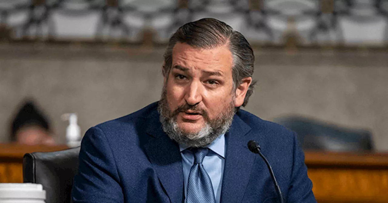 Ted Cruz: Anti-Israel Protests a ‘Result of Cultural Marxism’