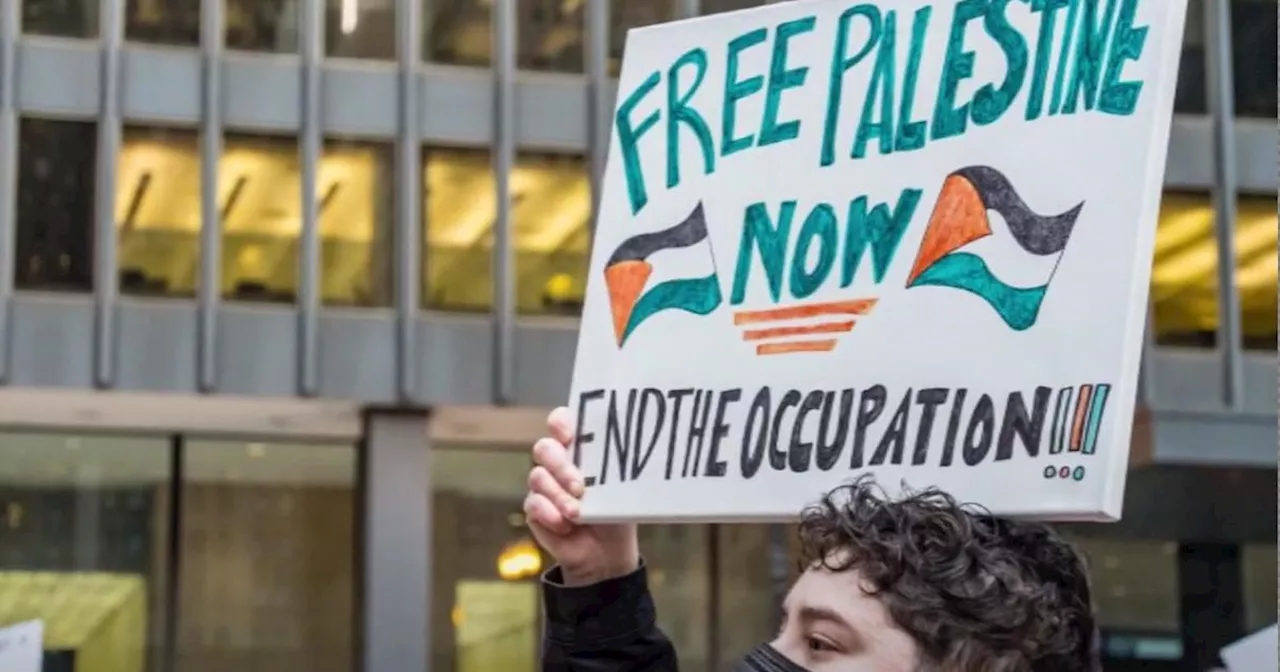 DNC protest organizer says pro-Palestinian marches won't stop until 'Palestine is truly free'