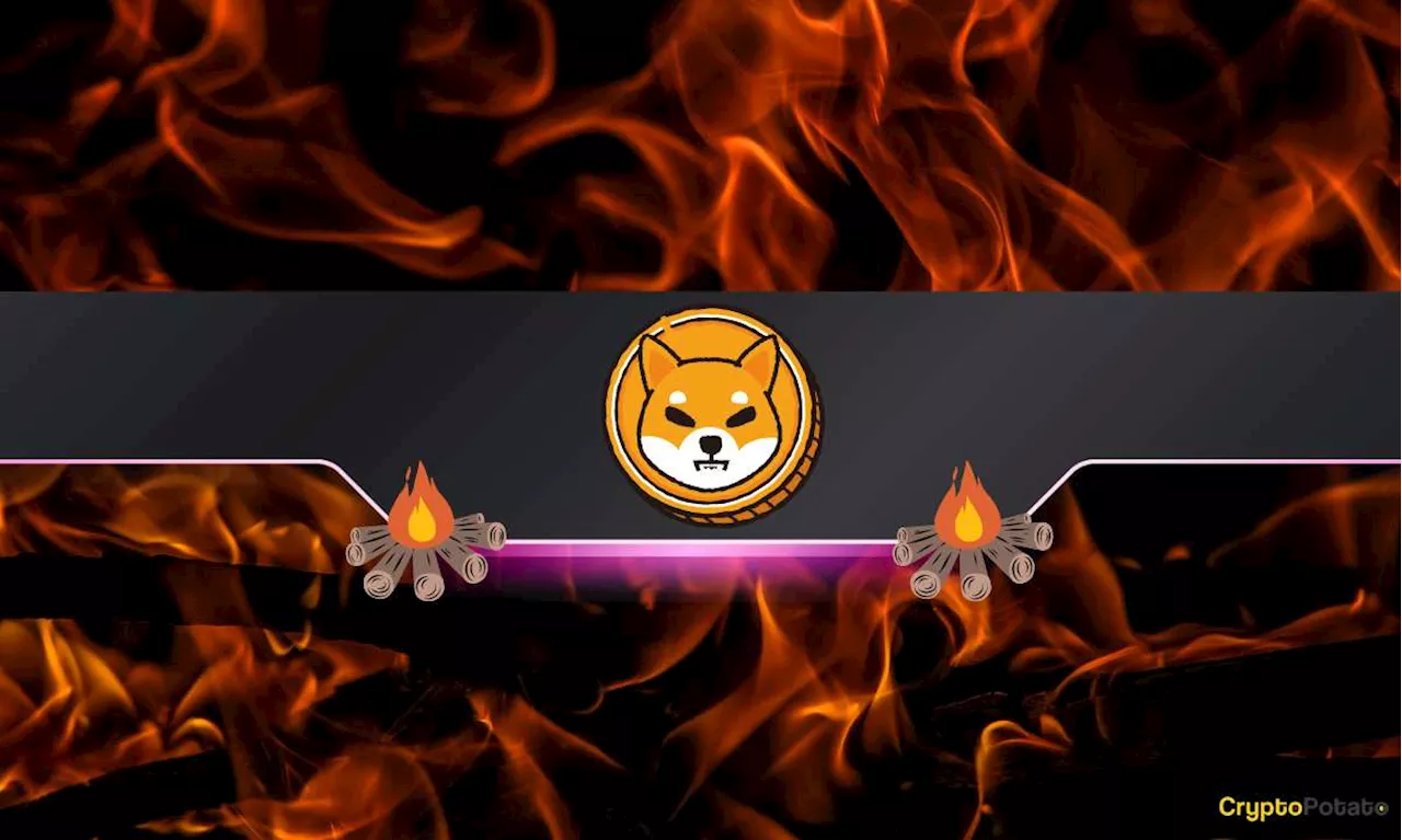 Shiba Inu Burn Rate Soars 90% Daily: SHIB Price Rally Incoming?