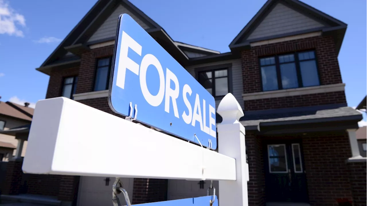 'A perfect storm for sellers': Demand for lower-priced listings driving up Calgary home prices, sales