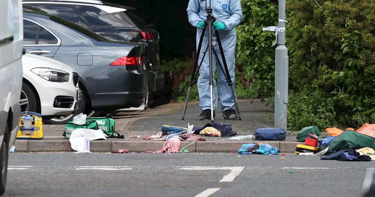 Boy who died in Hainault sword stabbing rampage on way to school named locally