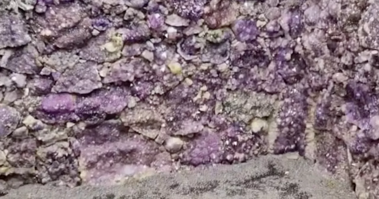 The 'truly mesmerising' Scottish amethyst cave near Edinburgh