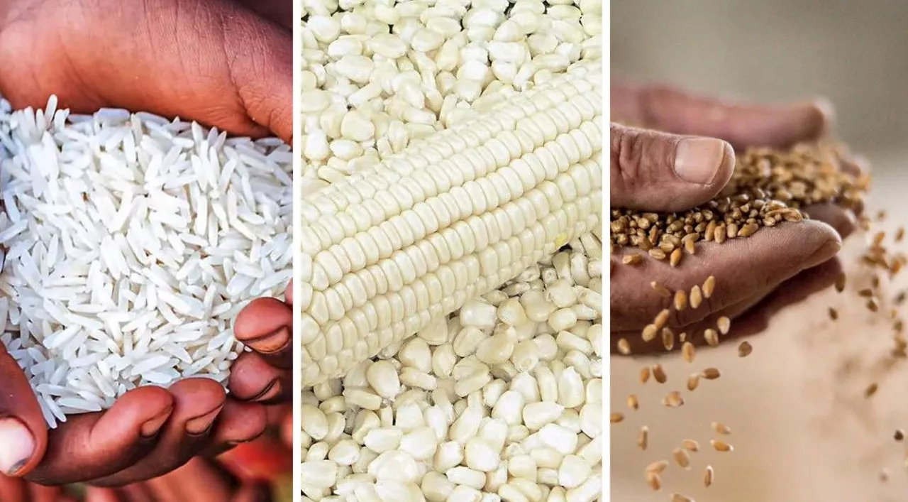 Loaded for Bear: Southern Africa has a dangerous dependence on white maize