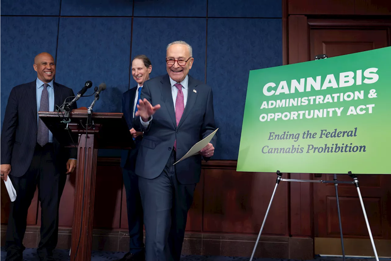 Schumer seeks to capitalize on Biden’s marijuana reclassification