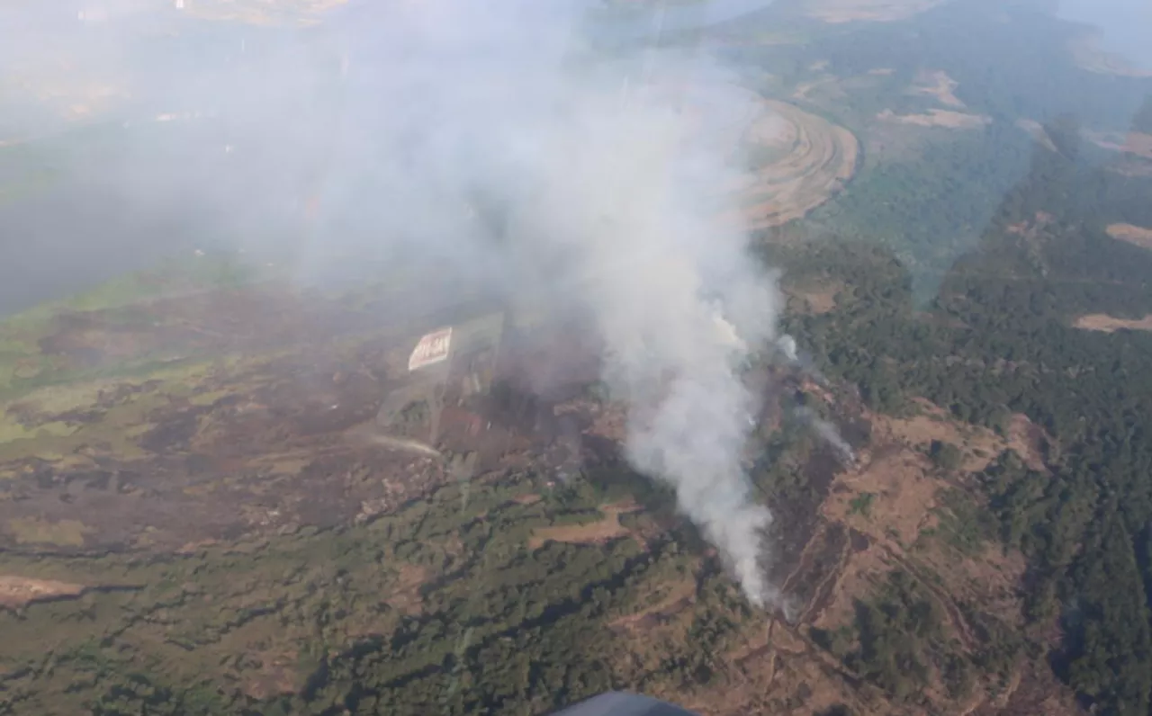 Continúan esfuerzos para extinguir incendio en Parque Isla Salamanca