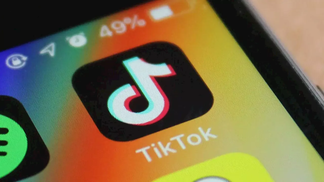 Interdição do TikTok na União Europeia “não está excluída”