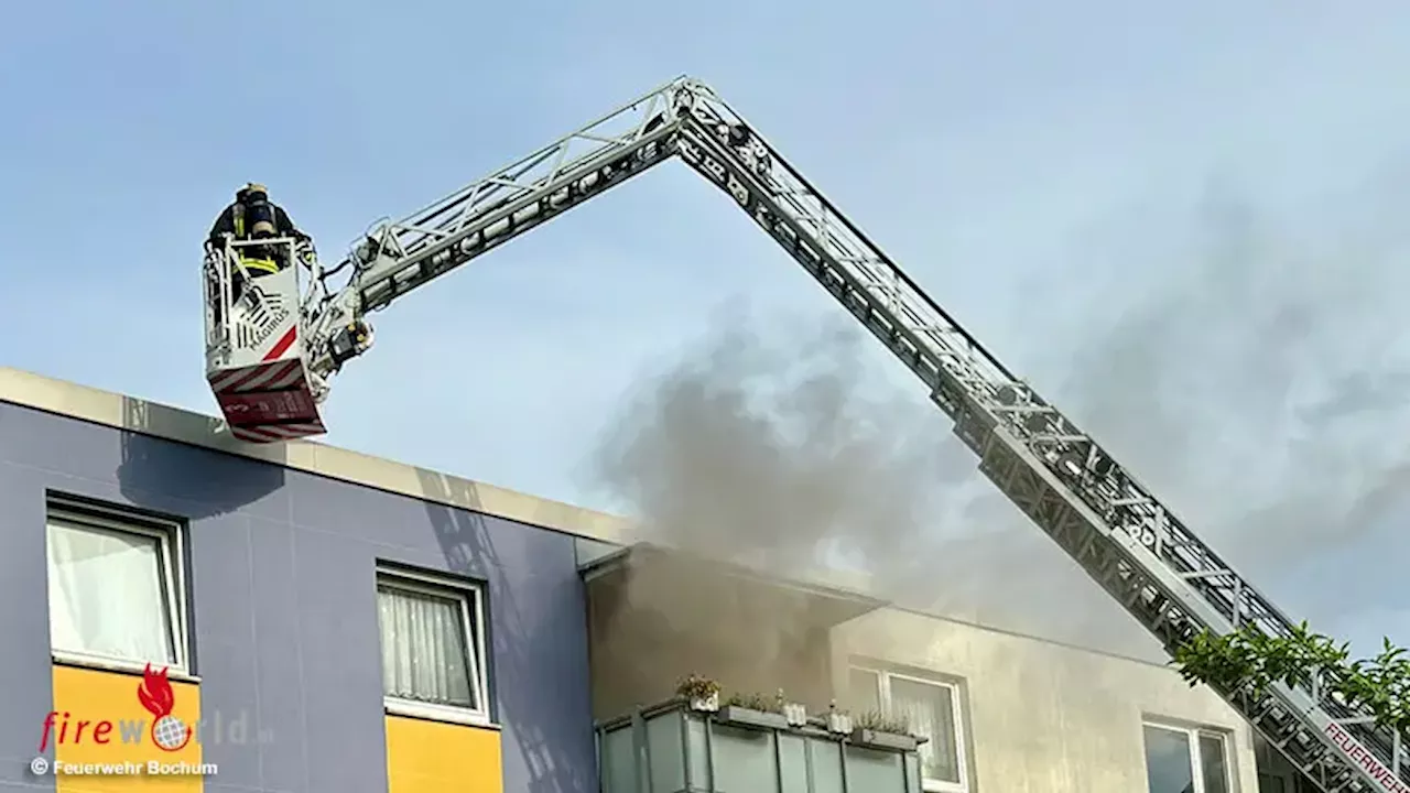 D: Zwei tote Katzen bei Feuer in Wohnung in Mehrfamilienhaus in Bochum