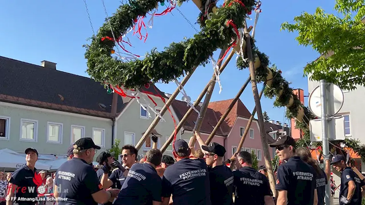 Oö: FF Attnang und FF Puchheim stellten gemeinsam den Maibaum auf