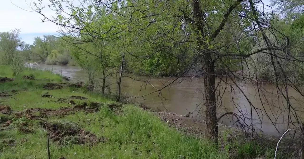 Weber River debris cleanup underway to prevent flooding