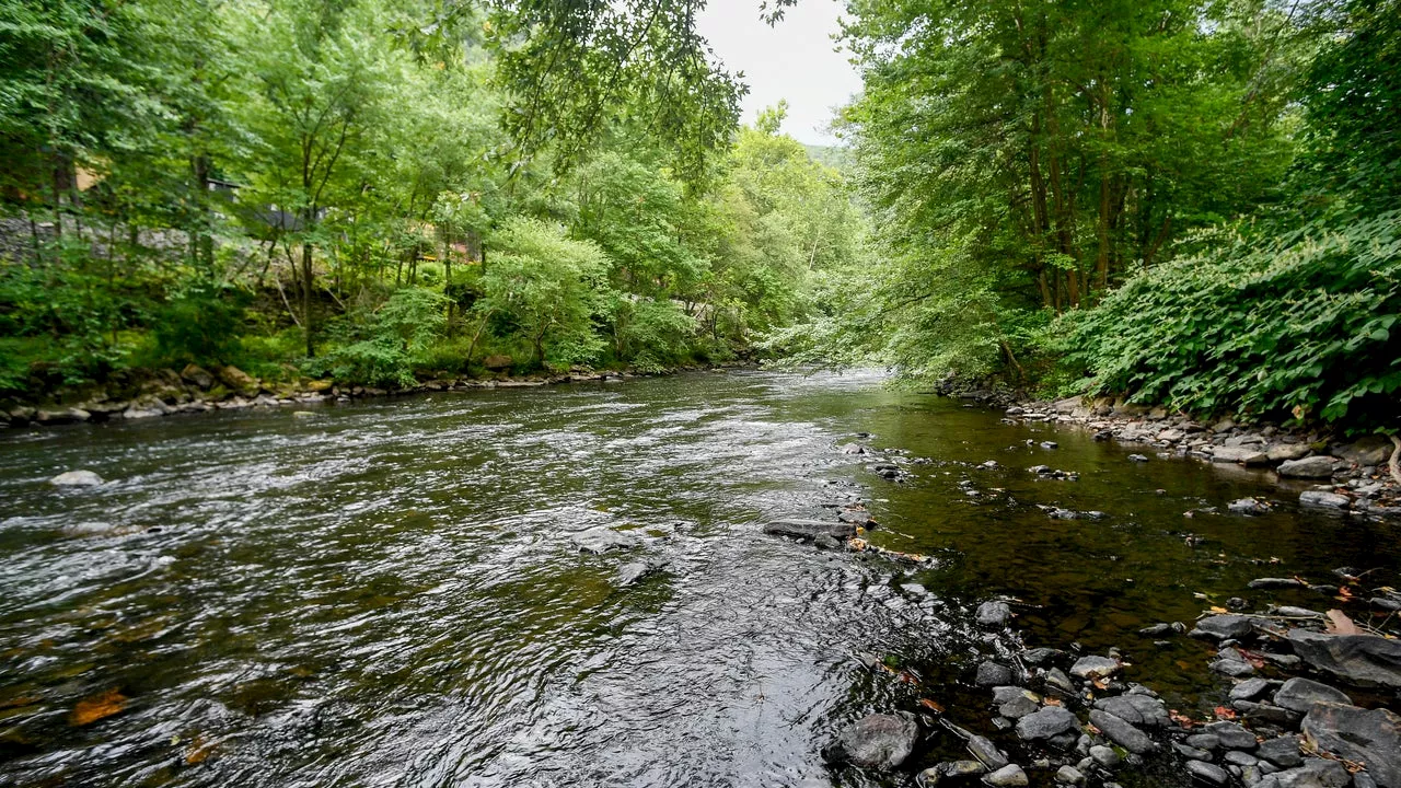 Kayak used by boater who went missing on Schuylkill River found: police