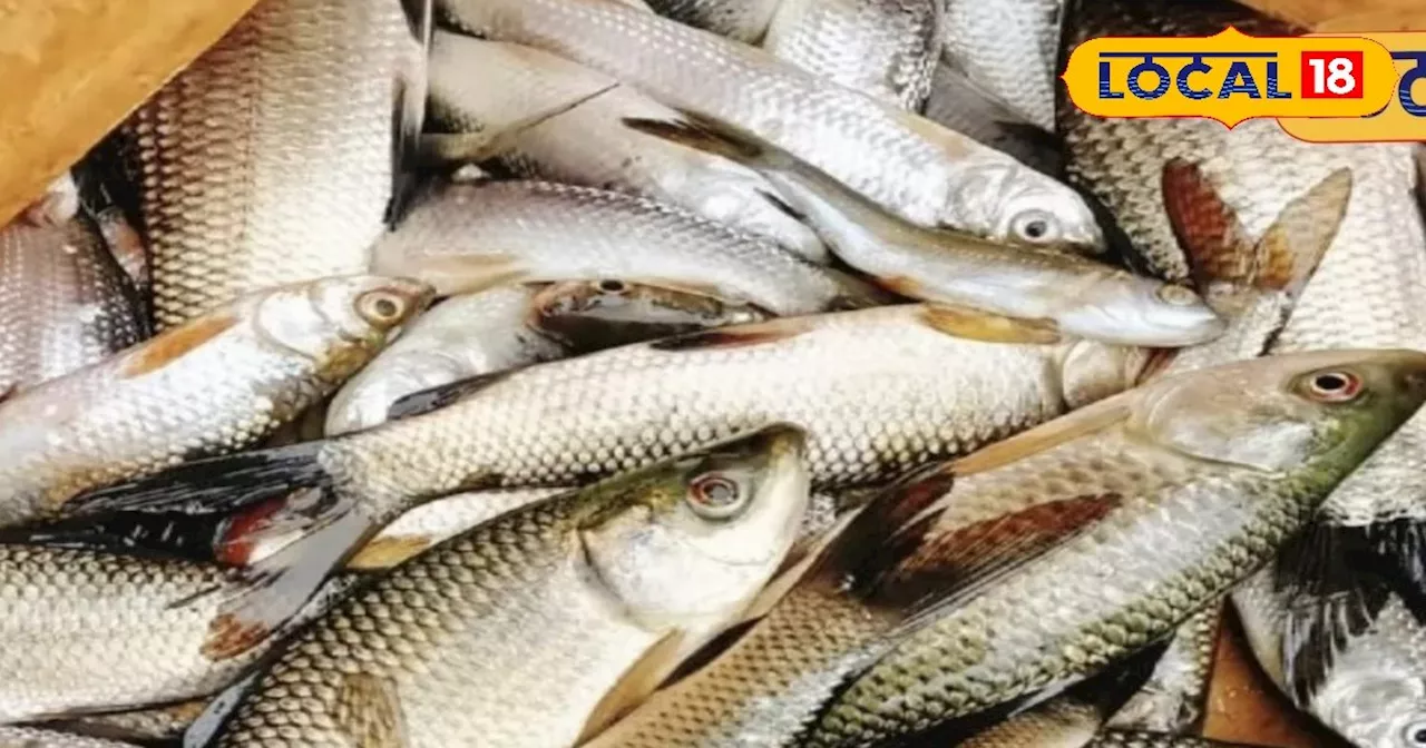 Fish Market: ये हैं मछली की सबसे बड़ी बाजार, सस्ते दाम के साथ मिलेंगी कई वैरायटी