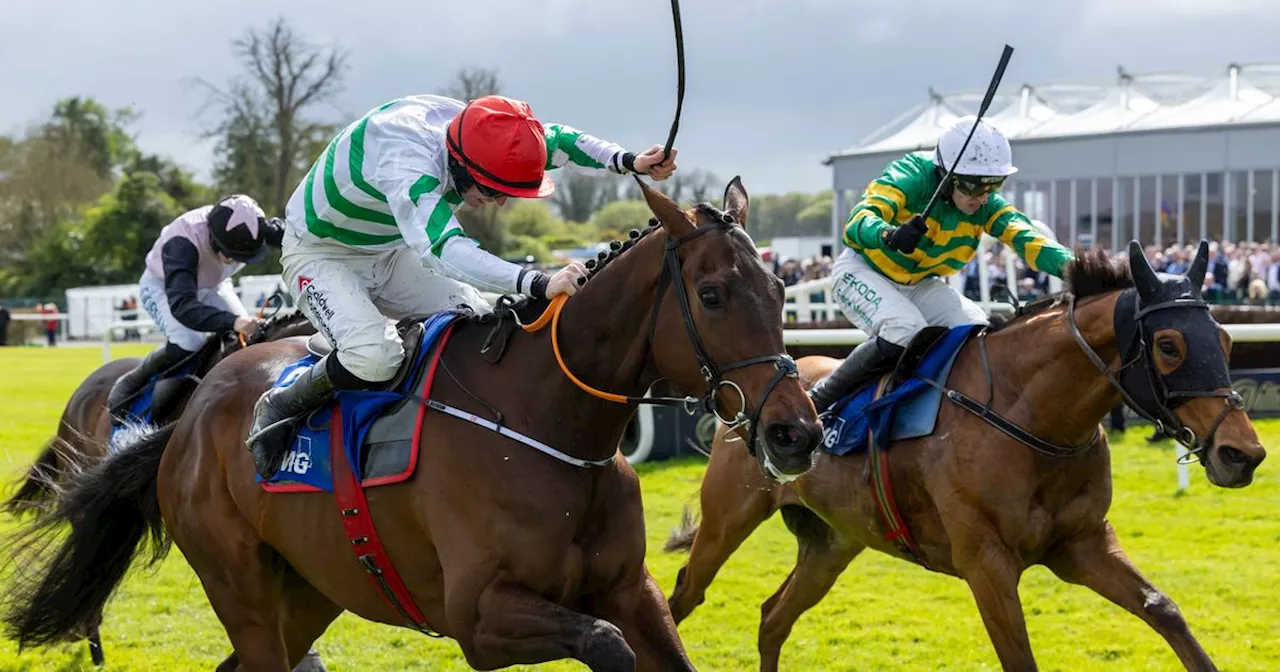 Jack Kennedy hit with big whip ban at Punchestown