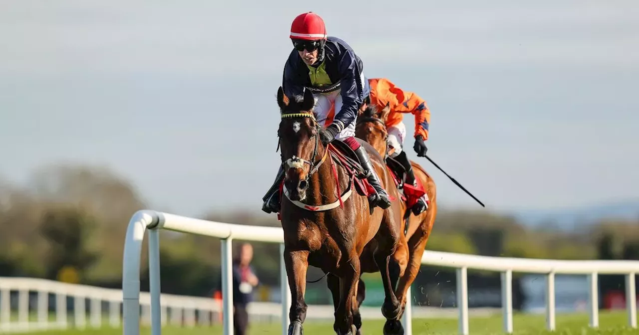 Punchestown Festival 2024 day 2 full race card and tips