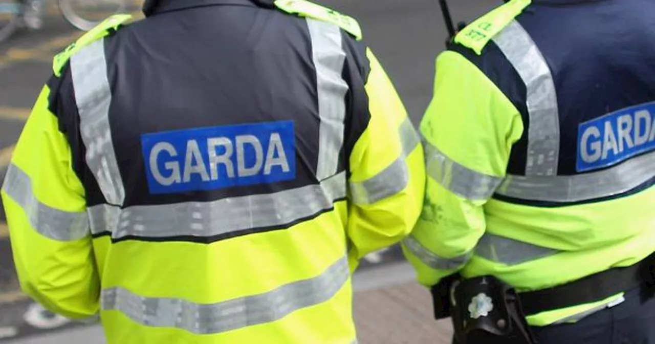 Corporate enforcer refuses to make traditional overtime payment for seconded gardaí