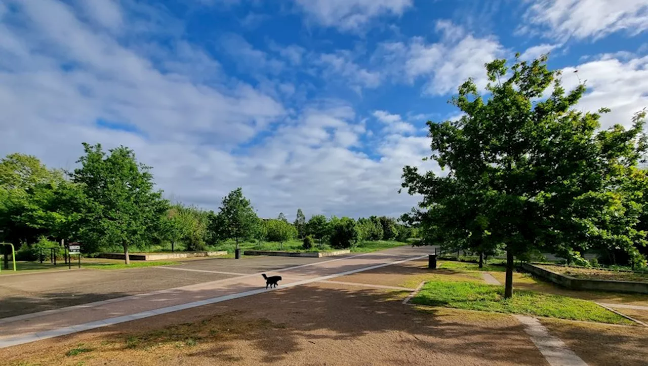 Toulouse : Pourquoi le parc de la Maourine est devenu un 'parc à cacas' ?