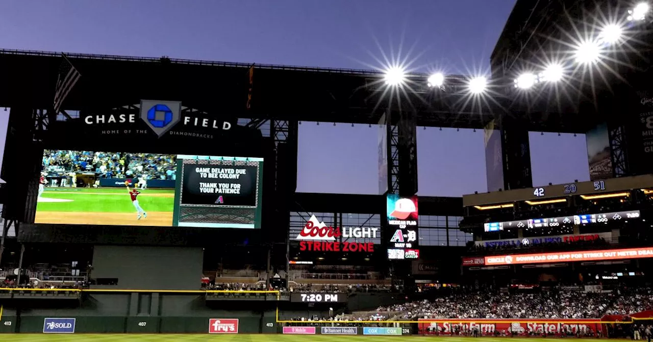 Swarm of bees delays start of Dodgers-Diamondbacks game