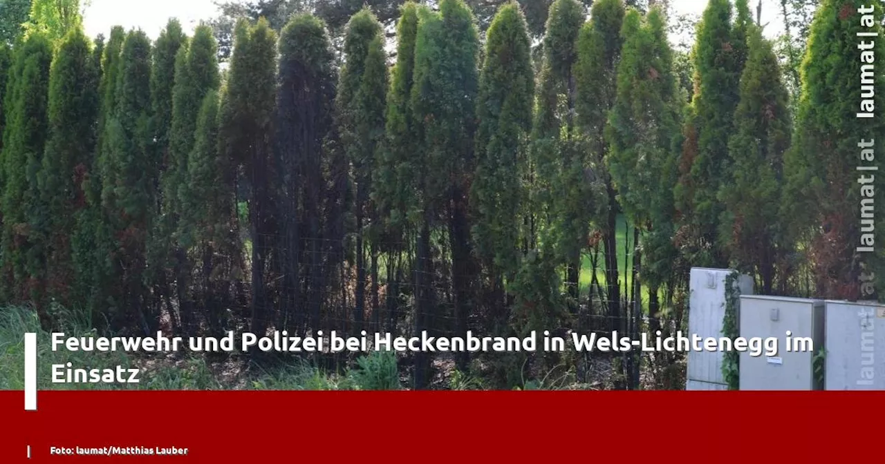 Feuerwehr und Polizei bei Heckenbrand in Wels-Lichtenegg im Einsatz