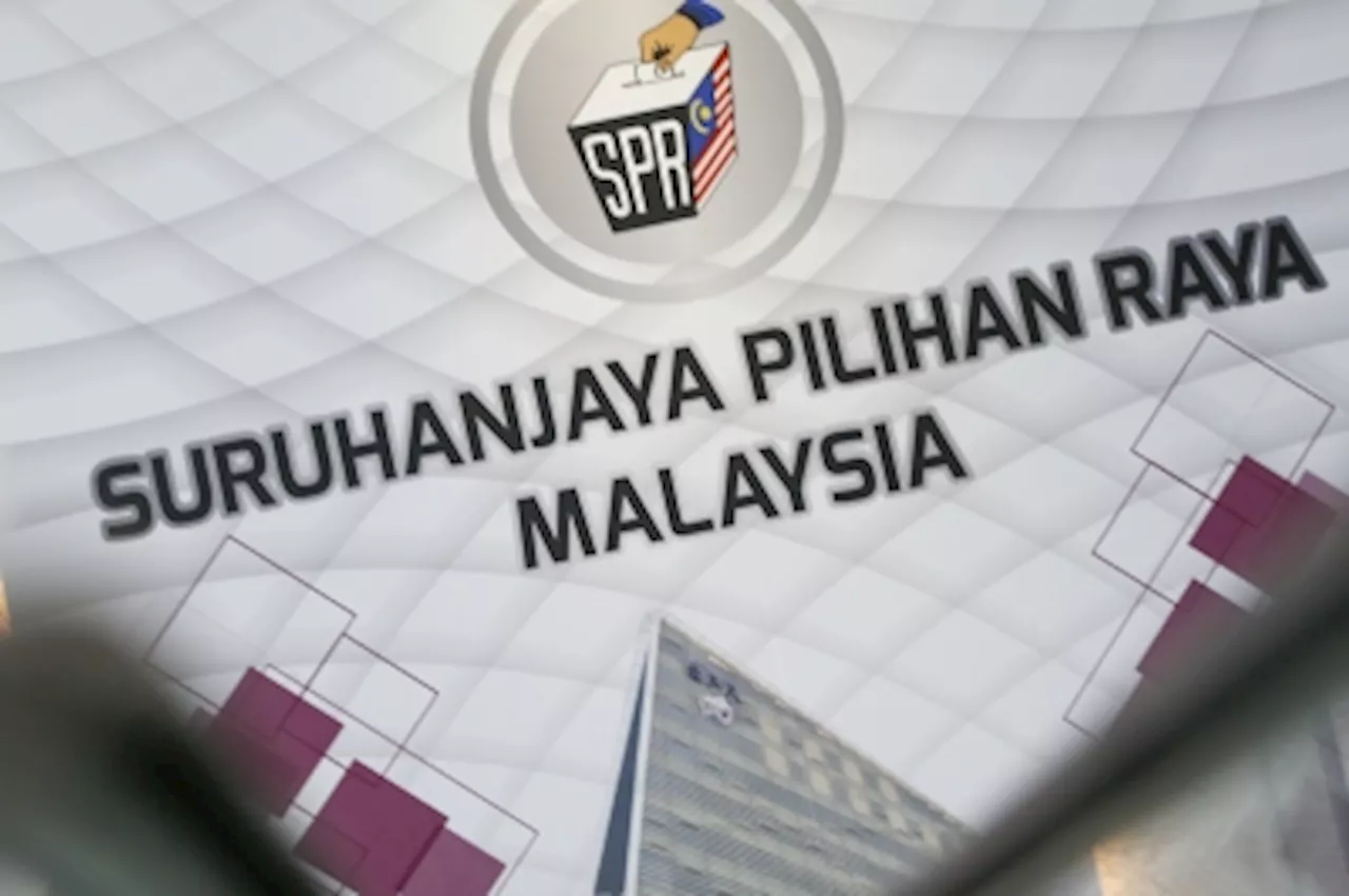 EC: Supplementary electoral roll for March 2024 open for review