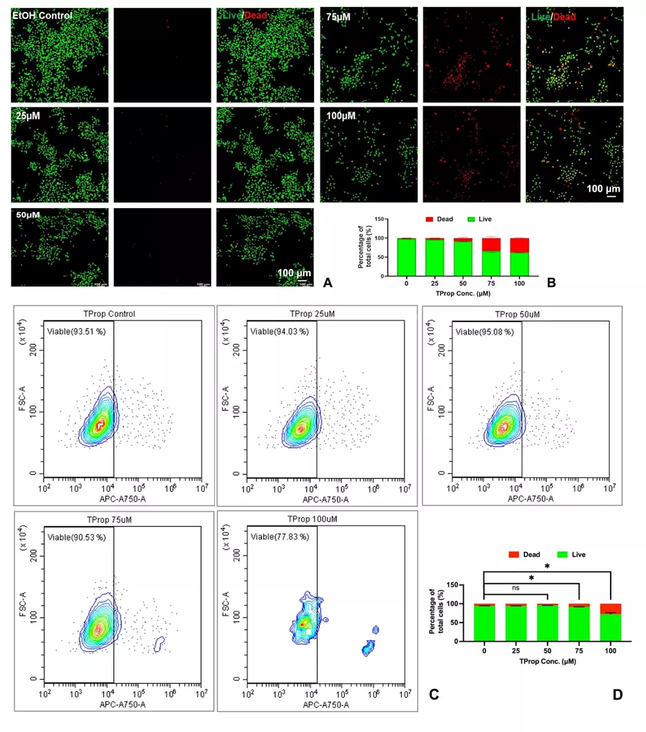 Preclinical study finds novel stem cell therapy boosts neural repair after cardiac arrest