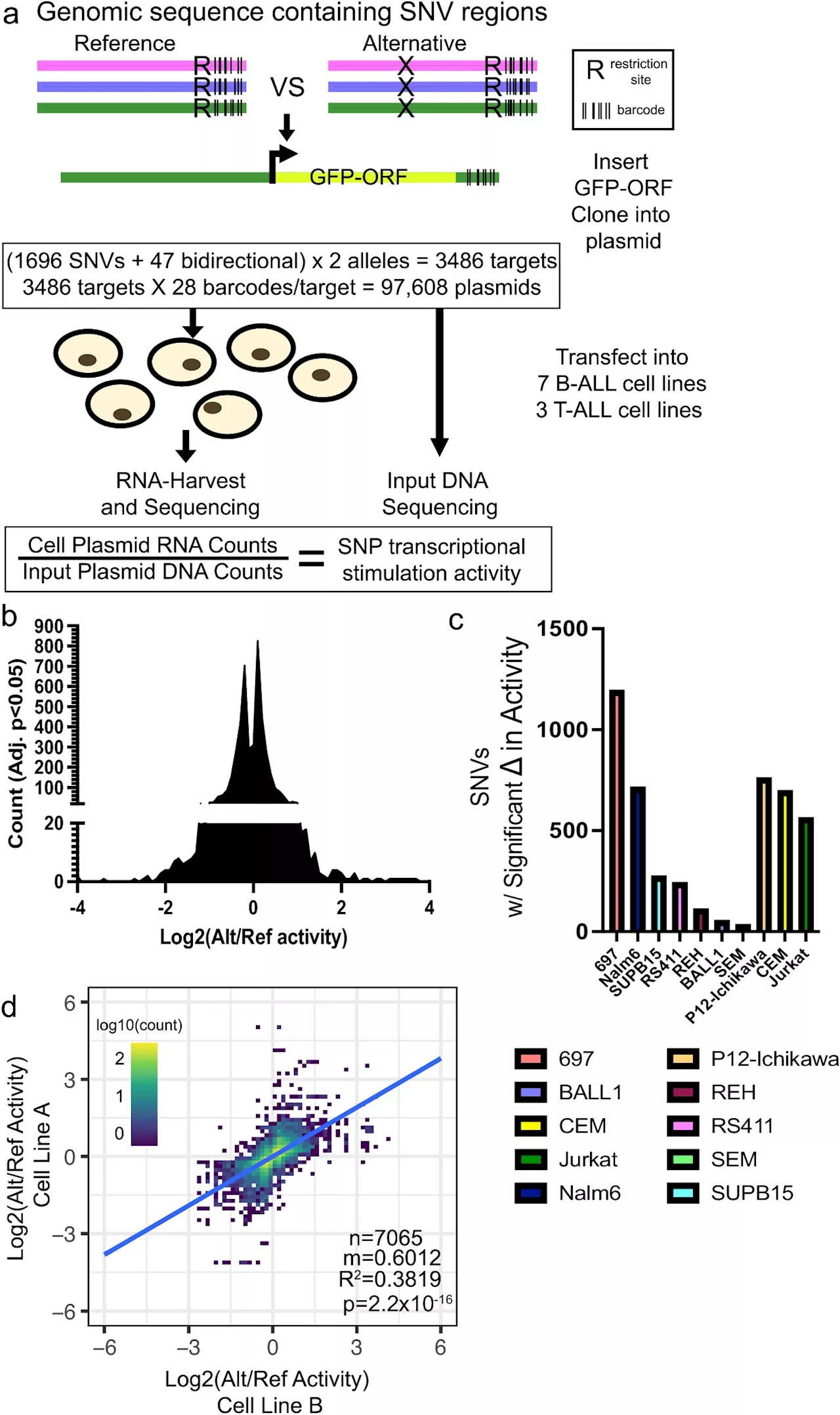 Unraveling the roles of non-coding DNA explains childhood cancer's resistance to chemotherapy