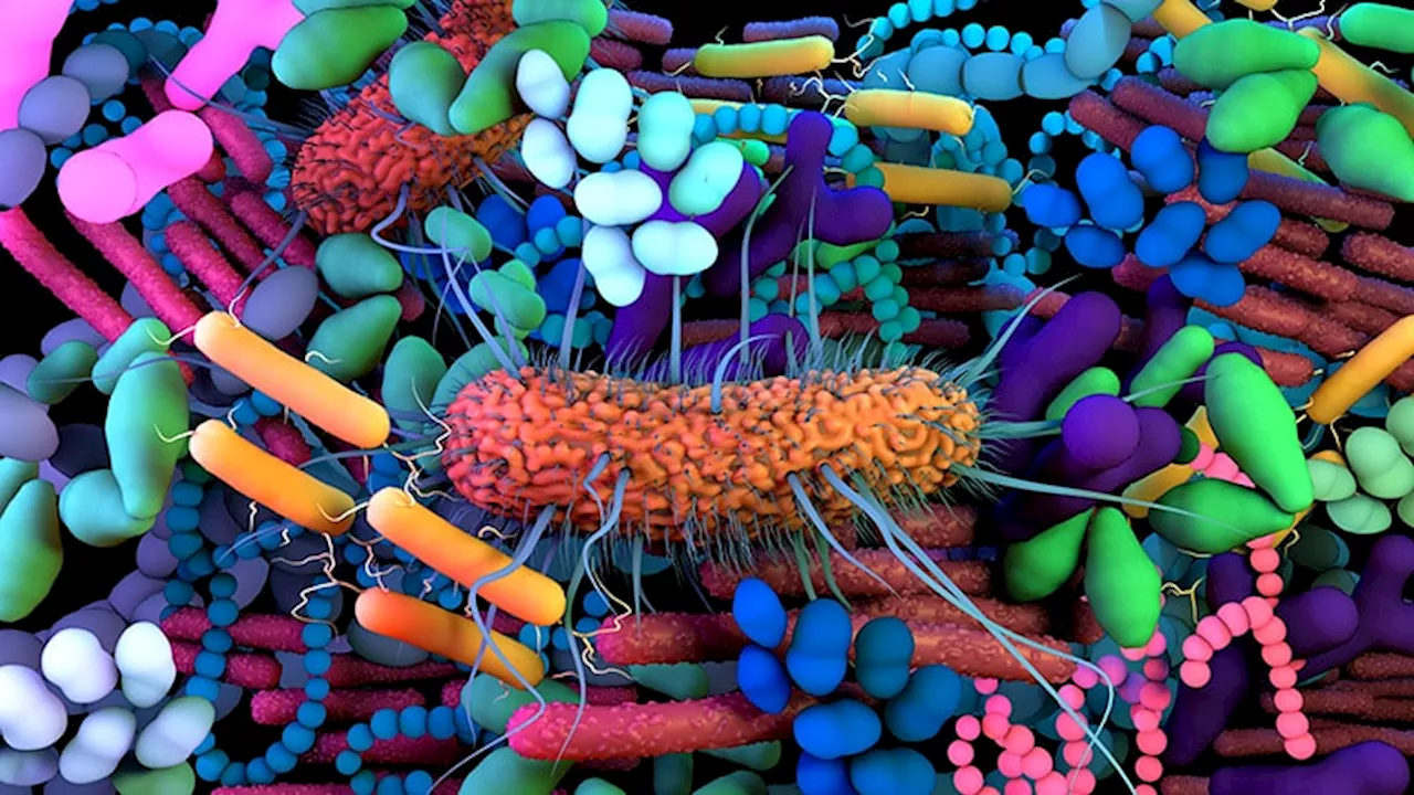 The Long, Controversial Search for a 'Cancer Microbiome'