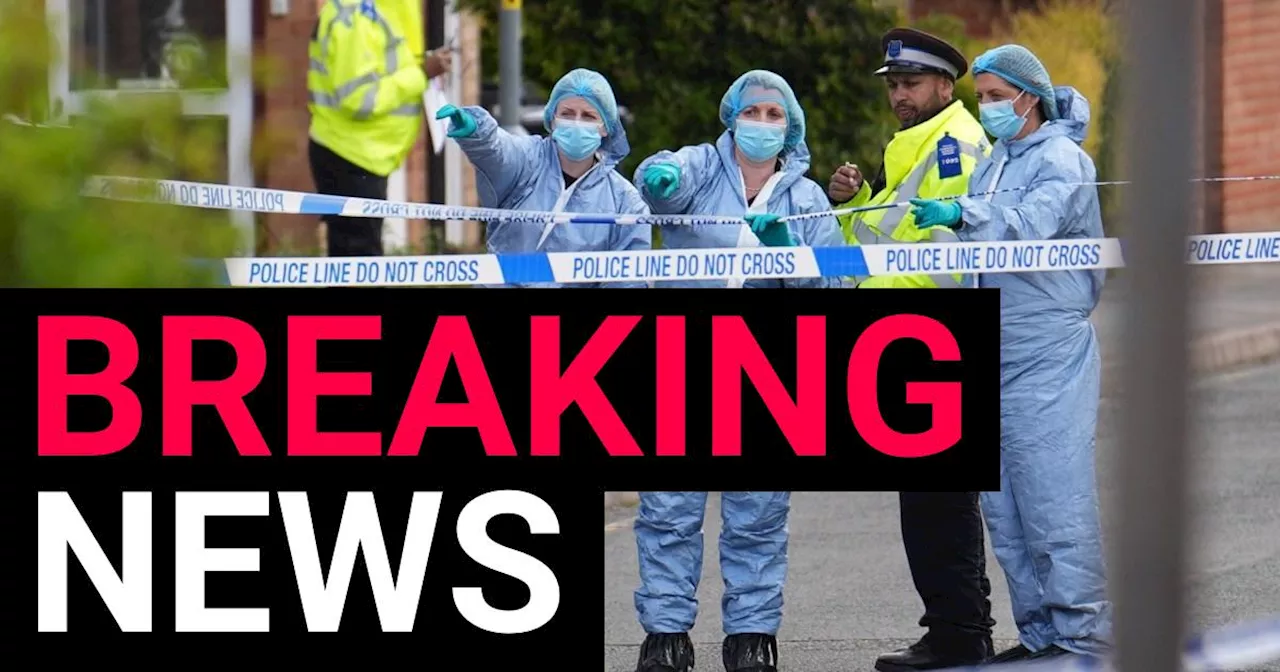 Boy killed in Hainault sword attack went to school with Nottingham victim