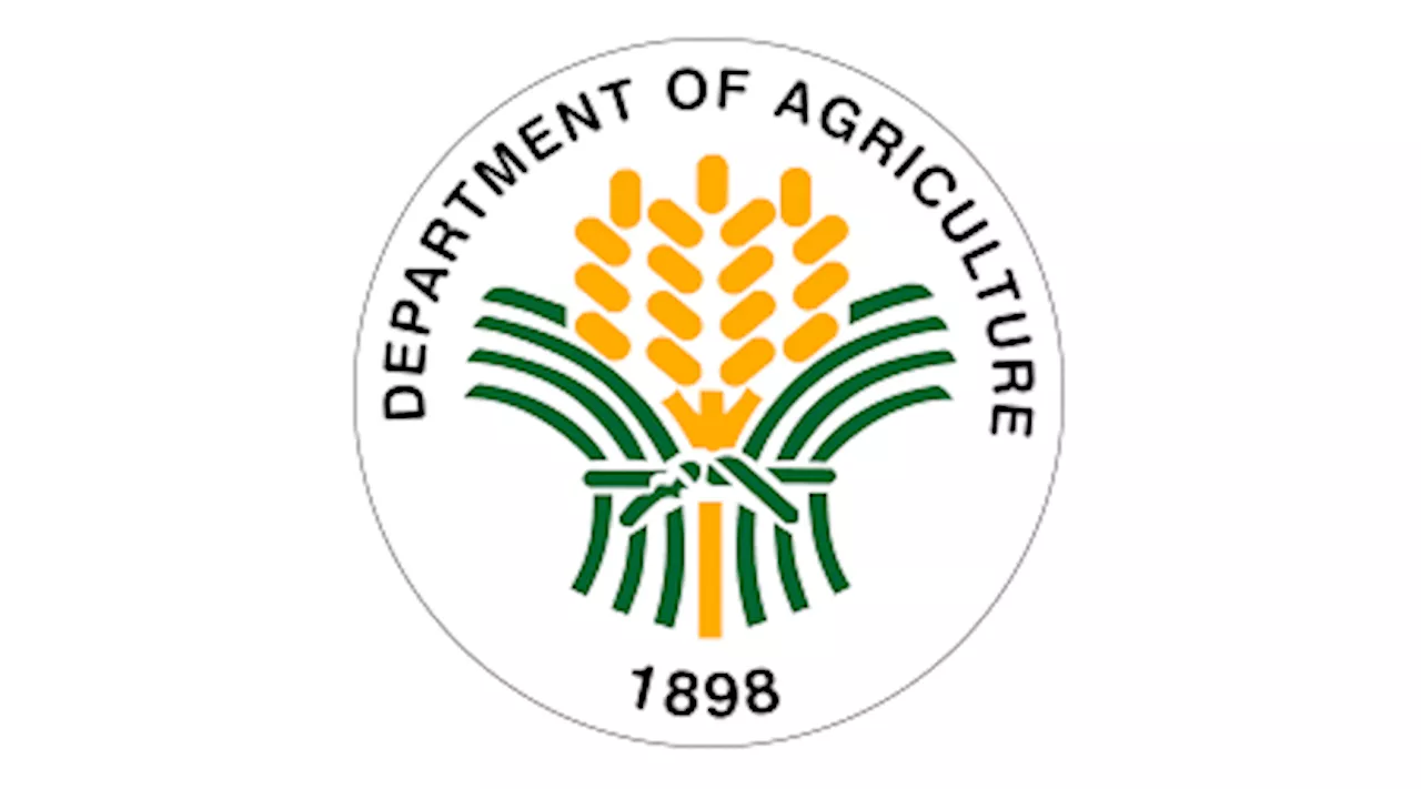 DA requests extension of rice enhancement fund