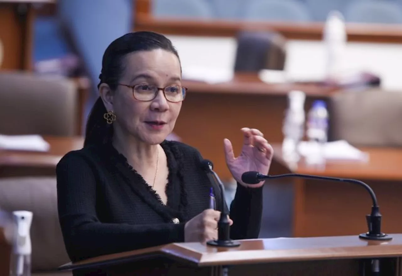 Poe backs franchise bids of power utilities in Leyte, Romblon, Negros Occidental