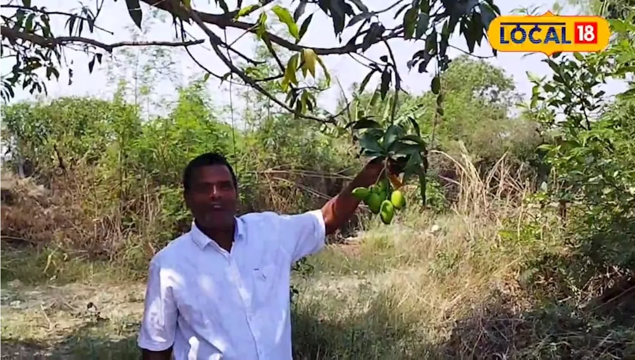 किसान इन फसलों की करें खेती, मिलेगा तगड़ा मुनाफा, सरकार भी दे रही सब्सिडी, ऐसे उठाएं लाभ