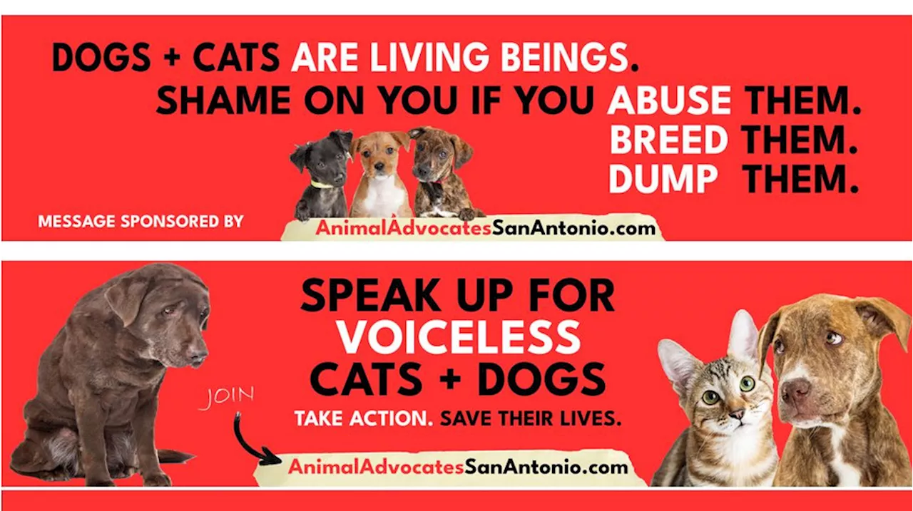 San Antonio advocates push for better animal welfare policies via billboards