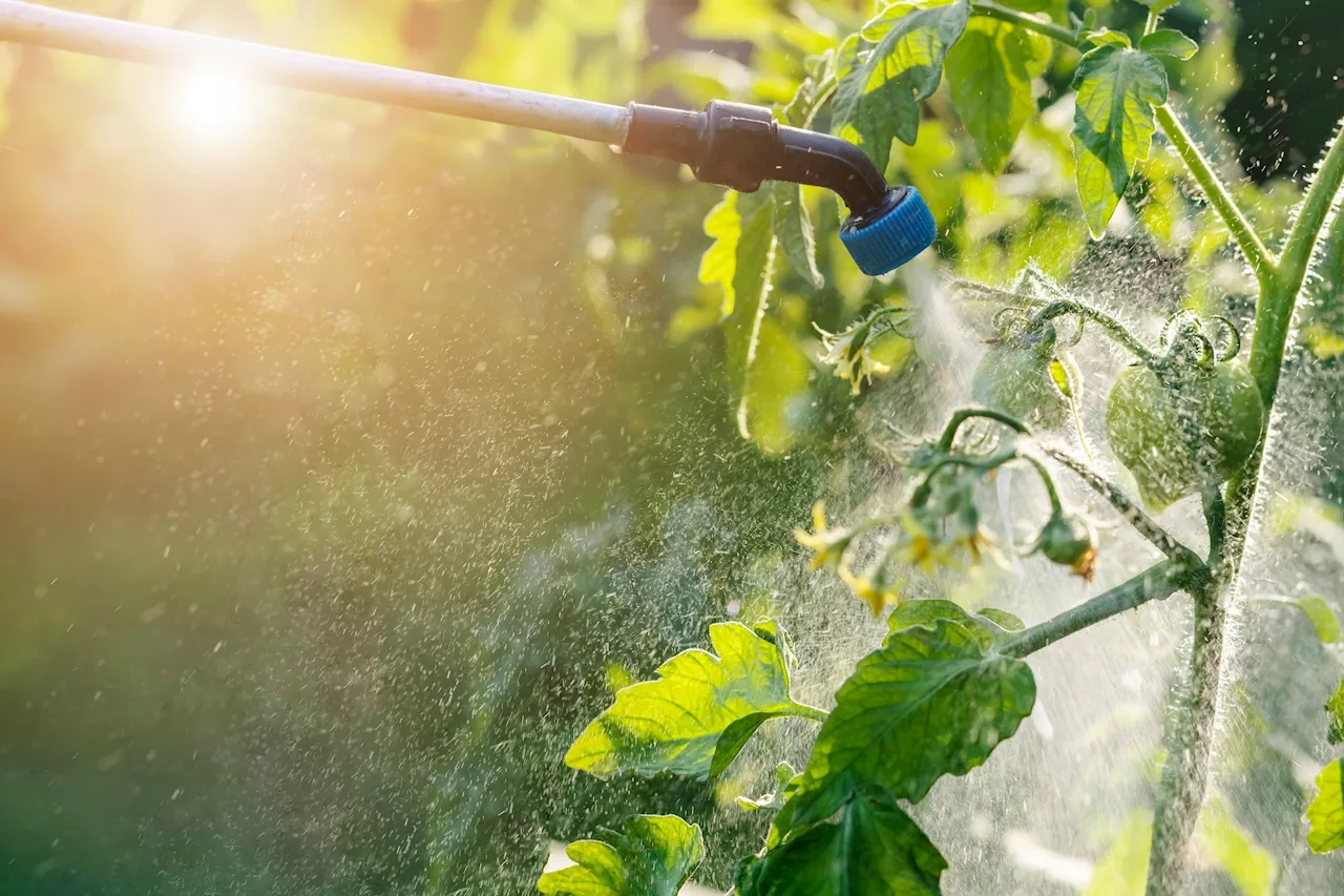 Study links agricultural pesticide exposure to increased genetic variants in Parkinson’s disease