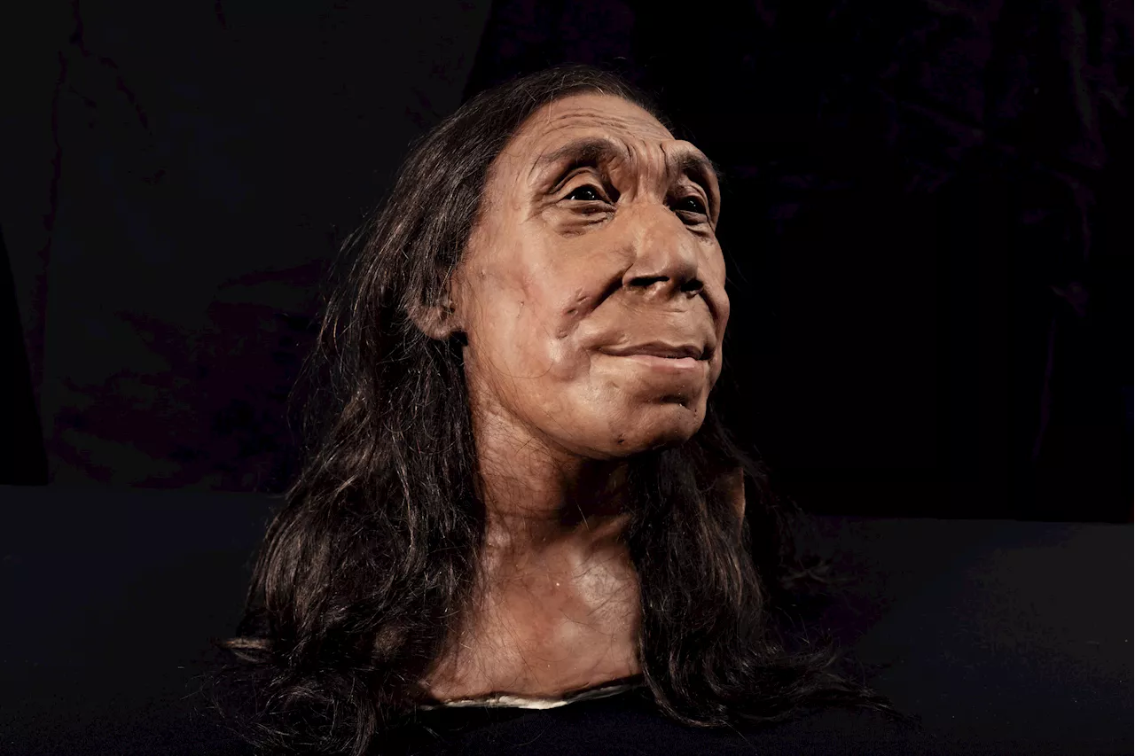 Face of Neanderthal Woman Revealed 75,000 Years Later