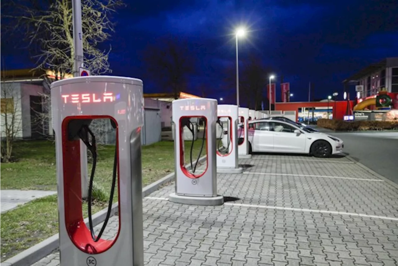 Elon Musk doekt vrijwel gehele Supercharger-laadpalendivisie van Tesla op