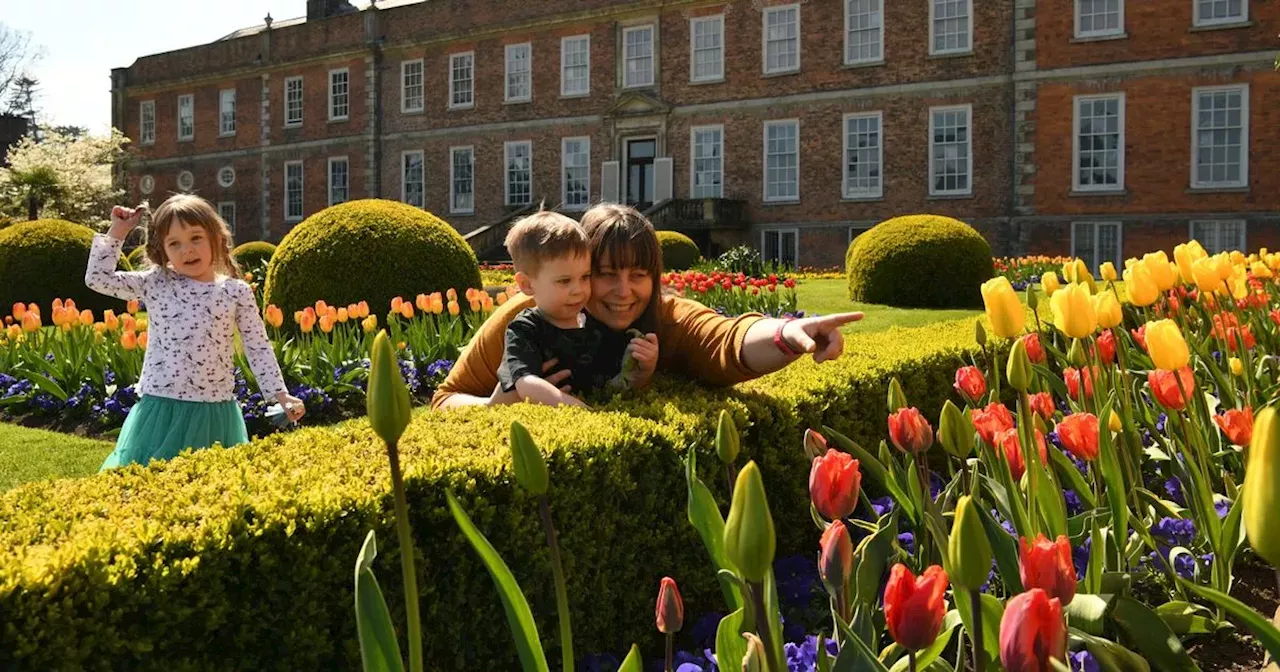 Get a free National Trust family pass worth up to £50