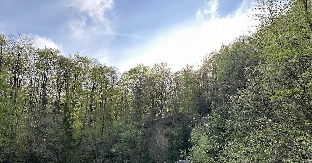 Lösch-Aufforderungen und Vorwürfe: Streit um Nationalpark Egge im Kreis Höxter