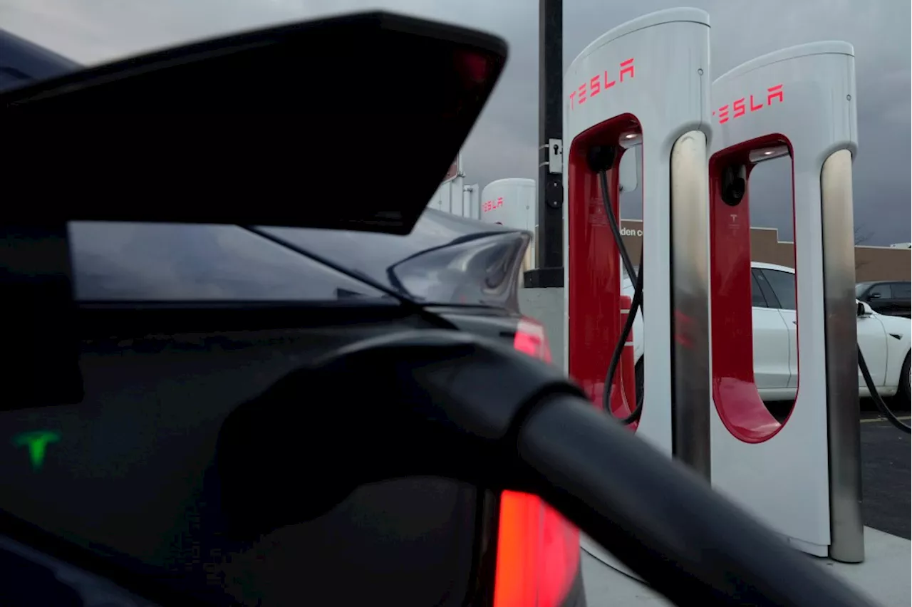 Elon Musk fires the team building Tesla’s EV charging network