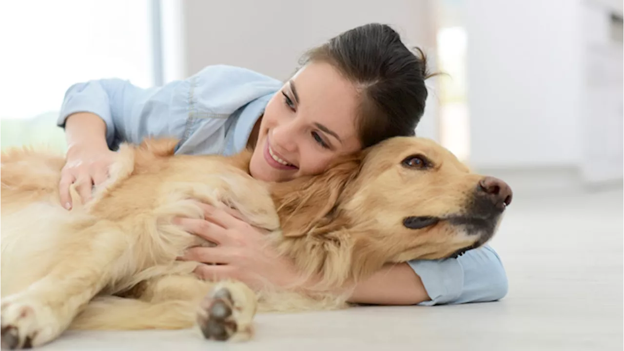 Cani: coccolarli aumenta l’attività della corteccia prefrontale