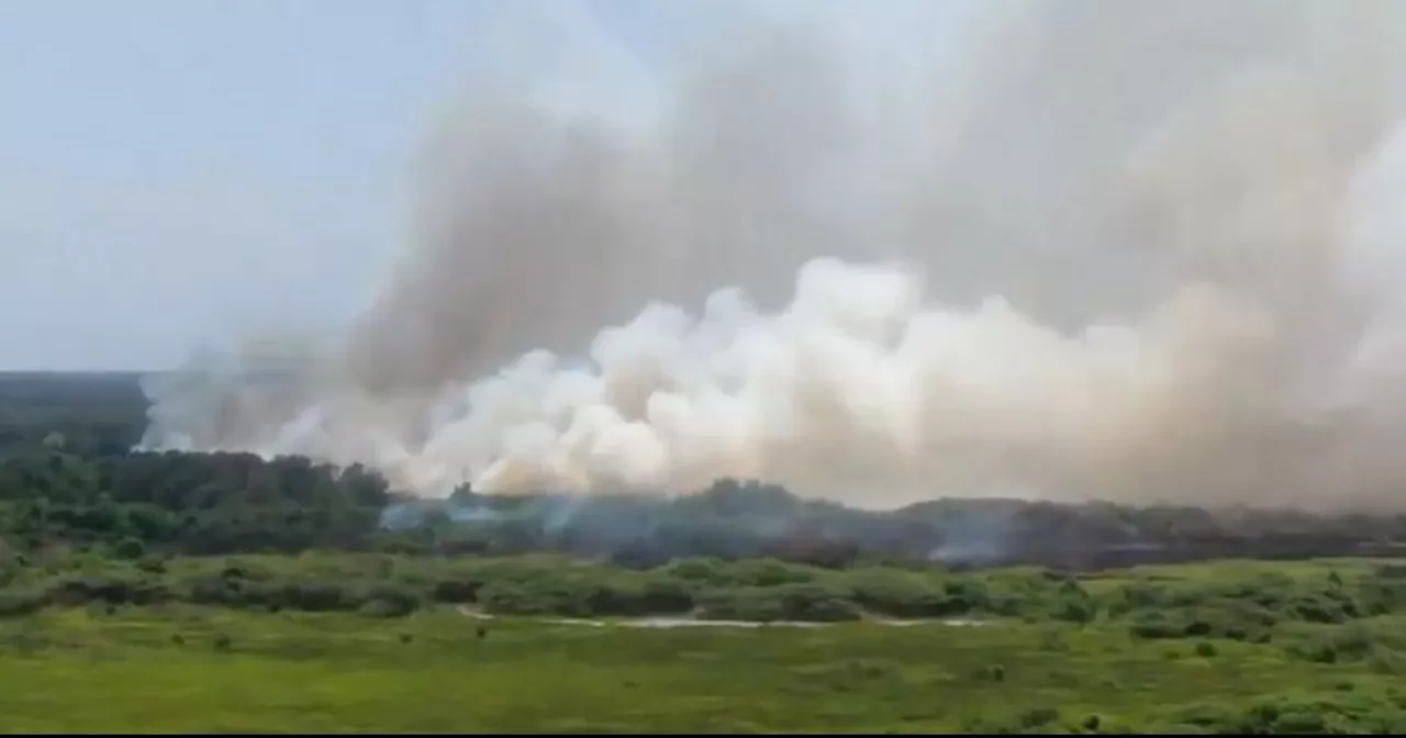 Grave incendio forestal en el parque Isla Salamanca afecta la calidad del aire en Barranquilla