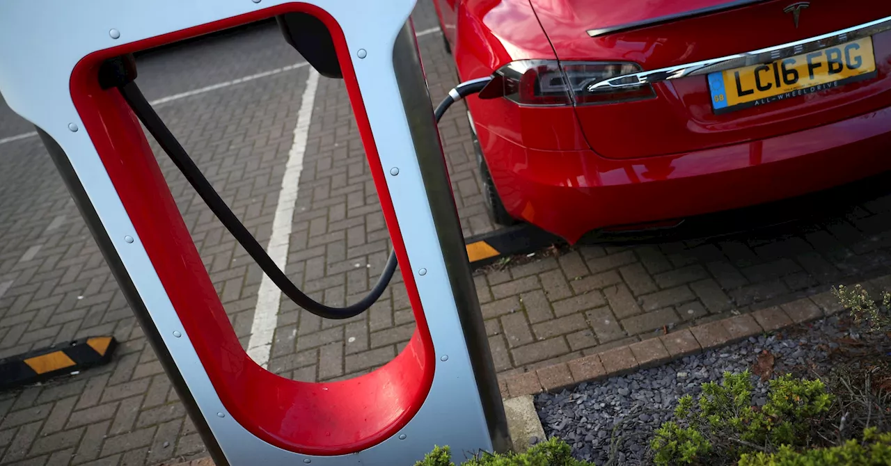 Musk disbands Tesla EV charging team, leaving customers in the dark