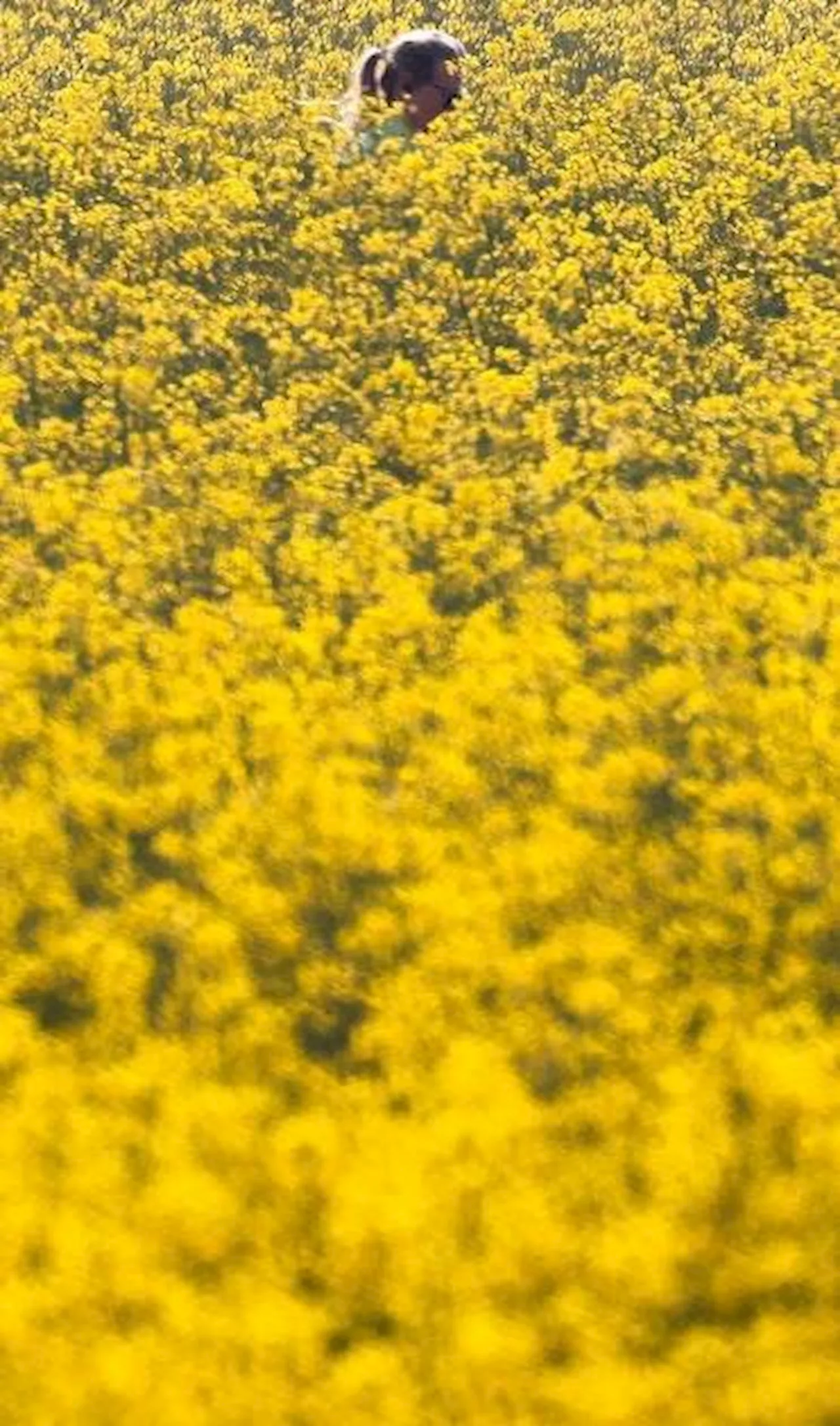 Wetter NRW im Mai: Nach Sonne folgen Gewitter